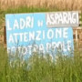 Fototrappole contro i furti di asparagi tra Besate e Motta: ecco i cartelli che avvisano i ladri