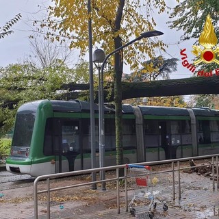 Maltempo anche a Milano: pianta crolla su un tram Maltempo anche a Milano: pianta crolla su un tram