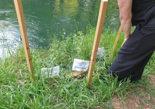 Robecco sul Naviglio, una mamma anatra protegge il suo nido lungo l’Alzaia