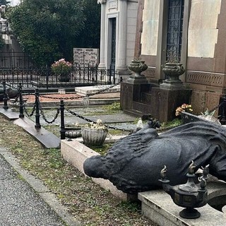 Vandali al cimitero di Vigevano, danneggiate statue e tombe Vandali al cimitero di Vigevano, danneggiate statue e tombe