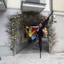 San Martino Siccomario: bye bye Springmania, arrivederci alla prossima primavera. Ultimo fine settimana per il Villaggio dei Fiori: tra quiz, caccia al tesoro e fiori da sogno