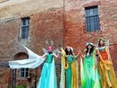 Al Villaggio dei Fiori Springmania di San Martino Siccomario, Primo Maggio con le ali: api e farfalle danzanti protagoniste del primo fine settimana di maggio