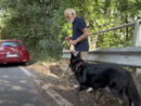 #senontiportononparto: la nuova campagna della polizia contro l'abbandono degli animali