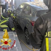 Stradella: gattini incastrati nel vano motore di un'auto, salvati dai Vigili del fuoco Stradella: gattini incastrati nel vano motore di un'auto, salvati dai Vigili del fuoco