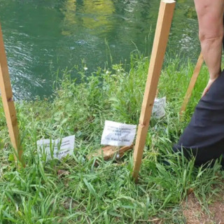 Robecco sul Naviglio, una mamma anatra protegge il suo nido lungo l’Alzaia