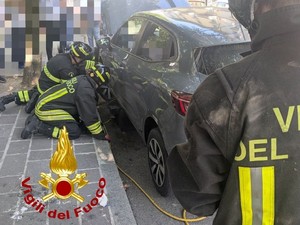 Stradella: gattini incastrati nel vano motore di un'auto, salvati dai Vigili del fuoco Stradella: gattini incastrati nel vano motore di un'auto, salvati dai Vigili del fuoco
