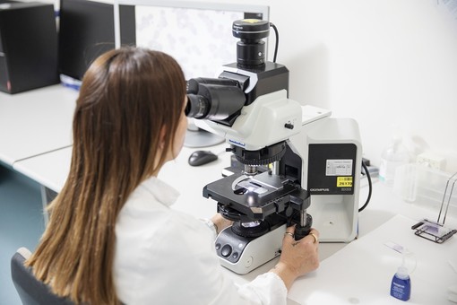 Come batte un cuore, cosa racconta il sangue: scienza e medicina diventano esperienza reale con l'IRCCS Maugeri Pavia Come batte un cuore, cosa racconta il sangue: scienza e medicina diventano esperienza reale con l'IRCCS Maugeri Pavia