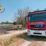 Garlasco: vasto incendio di sterpaglie, sul posto due squadre di Vigili del fuoco