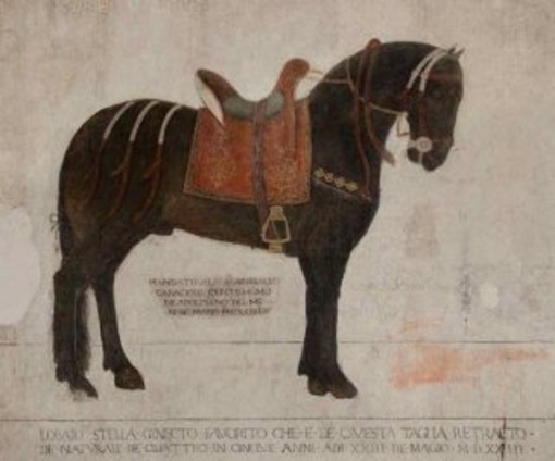 Gambolò, al Museo Archeologico Lomellino torna l'appuntamento col prof Benente Gambolò, al Museo Archeologico Lomellino torna l'appuntamento col prof Benente