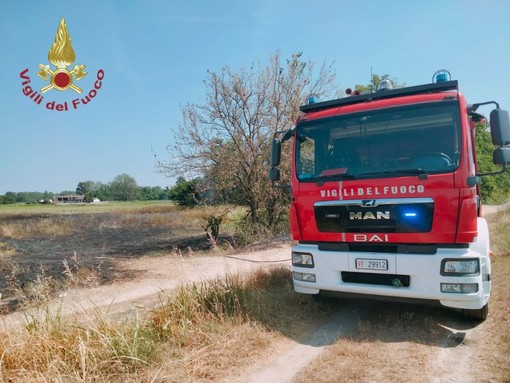 Garlasco: vasto incendio di sterpaglie, sul posto due squadre di Vigili del fuoco