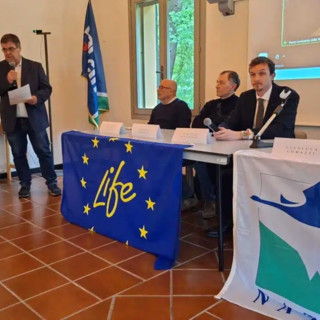 Parco del Ticino: 11 milioni di euro per la resilienza dei boschi