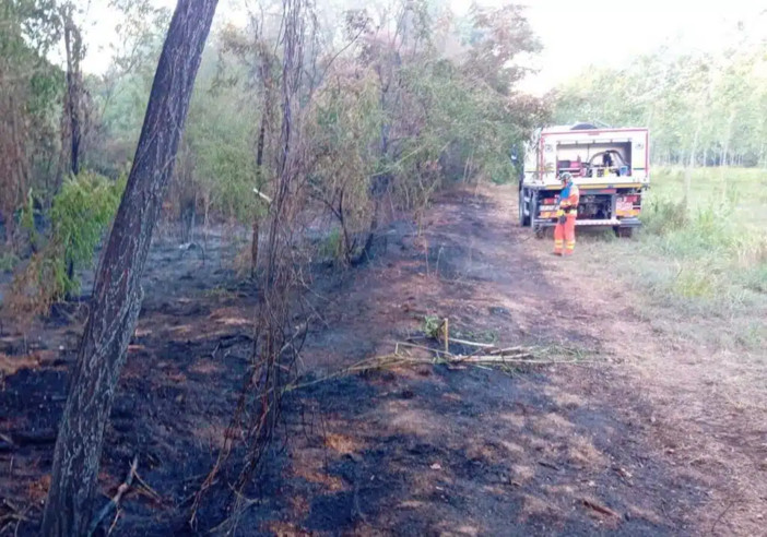 Vigevano, incendio nell’area della Buccella: fiamme domate grazie al rapido intervento dei volontari AIB del Parco Ticino Vigevano, incendio nell’area della Buccella: fiamme domate grazie al rapido intervento dei volontari AIB del Parco Ticino
