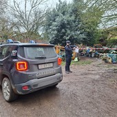 Carabinieri forestali, sequestrata una discarica abusiva a Miradolo Terme