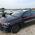 Gravellona, i Carabinieri individuano i responsabili di un maxi furto di storioni. Denunciate cinque persone Gravellona, i Carabinieri individuano i responsabili di un maxi furto di storioni. Denunciate cinque persone