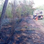 Vigevano, incendio nell’area della Buccella: fiamme domate grazie al rapido intervento dei volontari AIB del Parco Ticino