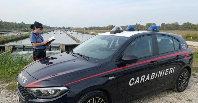 Gravellona, i Carabinieri individuano i responsabili di un maxi furto di storioni. Denunciate cinque persone