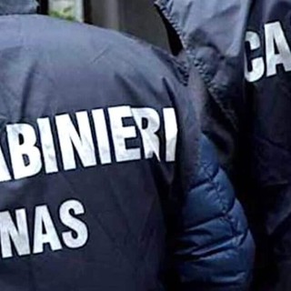 Controlli ad Abbiategrasso di Carabinieri e Nas: 50 identificati, 3 denunciati, 2 pub sanzionati