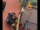 Cagnolino incastrato a testa in giù nelle inferriate del balcone ai piani alti viene salvato dai vigili del fuoco
