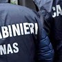 Controlli ad Abbiategrasso di Carabinieri e Nas: 50 identificati, 3 denunciati, 2 pub sanzionati