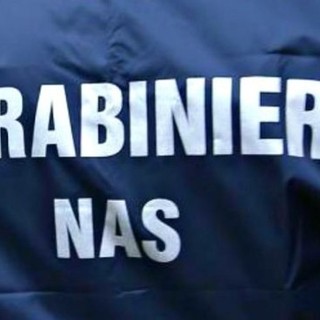 Pavia, irregolarità in due ristoranti: attività sospesa e sanzioni da 65mila euro