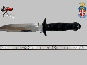 Pavia, servizi straordinari di controllo del territorio. Una denuncia per porto abusivo di arma Pavia, servizi straordinari di controllo del territorio. Una denuncia per porto abusivo di arma