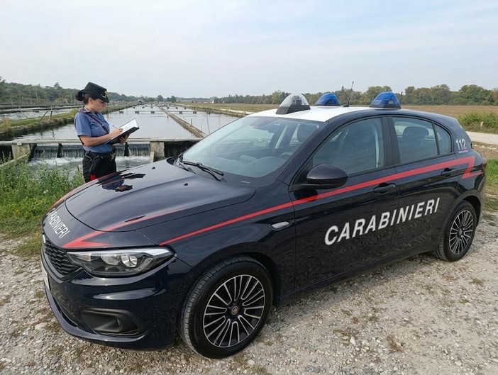 Gravellona, i Carabinieri individuano i responsabili di un maxi furto di storioni. Denunciate cinque persone