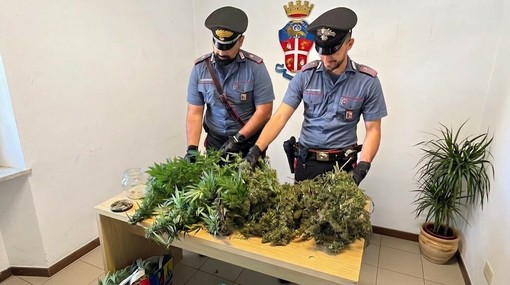 Garlasco: i carabinieri sequestrano oltre un chilo di marijuana a un 30enne Garlasco: i carabinieri sequestrano oltre un chilo di marijuana a un 30enne