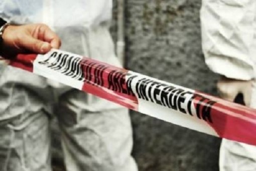 Isola Sant'Antonio, ritrovato un cadavere mutilato sotto al ponte del Po Isola Sant'Antonio, ritrovato un cadavere mutilato sotto al ponte del Po