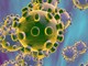 Coronavirus, lo studio: a Milano un sommerso di contagi già prima di febbraio Coronavirus, lo studio: a Milano un sommerso di contagi già prima di febbraio