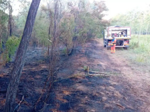 Vigevano, incendio nell’area della Buccella: fiamme domate grazie al rapido intervento dei volontari AIB del Parco Ticino