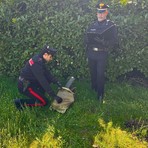 Pavia, furti di rame: denunciato dai carabinieri un uomo per ricettazione