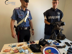Spaccio nei boschi: blitz dei Carabinieri tra Miradolo Terme e Graffignana. Due arresti e oltre 700 grammi di droga sequestrati