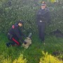 Pavia, furti di rame: denunciato dai carabinieri un uomo per ricettazione Pavia, furti di rame: denunciato dai carabinieri un uomo per ricettazione