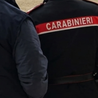 Vigevano, i carabinieri scoprono una pensione per cani abusiva: scatta il sequestro e 3mila euro di multa