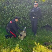 Pavia, furti di rame: denunciato dai carabinieri un uomo per ricettazione