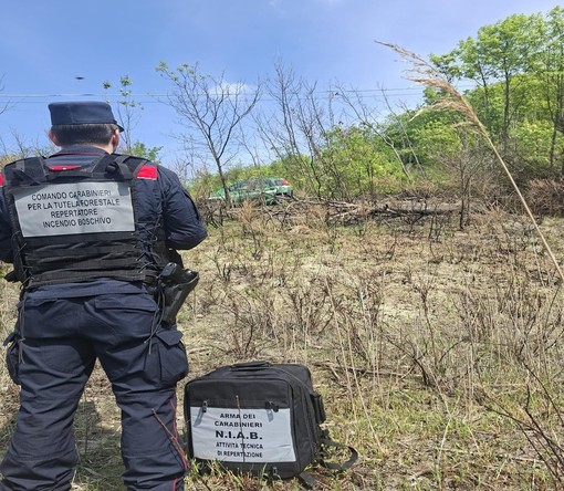 Oltrepò, incendio divora 1.500 metri quadrati di bosco: denunciato un 64enne Oltrepò, incendio divora 1.500 metri quadrati di bosco: denunciato un 64enne