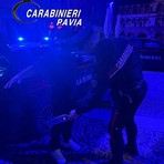 Pavia, controlli nel centro storico anche con metal detector. Quattro giovani segnalati alla Prefettura come assuntori di stupefacente