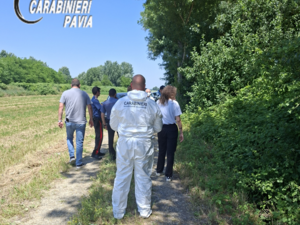 Casei Gerola, sacco rinvenuto dai carabinieri nelle campagne: all'interno c'è un cane Casei Gerola, sacco rinvenuto dai carabinieri nelle campagne: all'interno c'è un cane