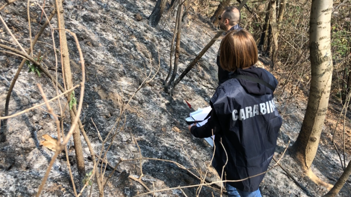 Oltrepò, incendio boschivi in Alta Valle Staffora: denunciato un 69enne