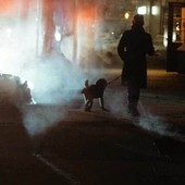 Magenta, cane folgorato da un palo elettrico durante la passeggiata: area isolata Magenta, cane folgorato da un palo elettrico durante la passeggiata: area isolata