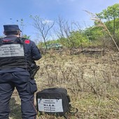 Oltrepò, incendio divora 1.500 metri quadrati di bosco: denunciato un 64enne