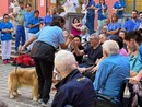Pavia, IRCCS Maugeri Montescano porta l’attività assistita dagli animali in ospedale Pavia, IRCCS Maugeri Montescano porta l’attività assistita dagli animali in ospedale
