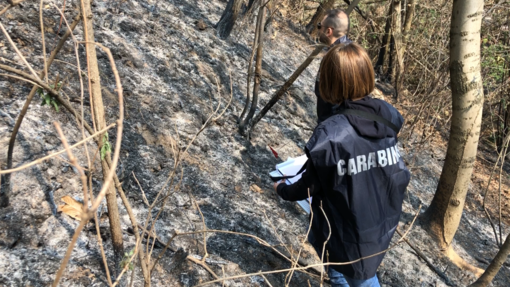 Oltrepò, incendio boschivi in Alta Valle Staffora: denunciato un 69enne