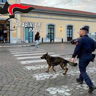 Controlli a tappeto dei Carabinieri nel centro cittadino di Pavia. Sanzionato anche un esercizio commerciale