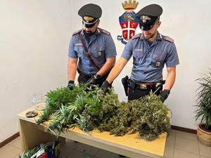 Garlasco: i carabinieri sequestrano oltre un chilo di marijuana a un 30enne Garlasco: i carabinieri sequestrano oltre un chilo di marijuana a un 30enne