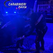 Pavia, controlli nel centro storico anche con metal detector. Quattro giovani segnalati alla Prefettura come assuntori di stupefacente