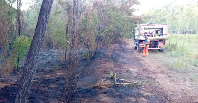 Vigevano, incendio nell’area della Buccella: fiamme domate grazie al rapido intervento dei volontari AIB del Parco Ticino Vigevano, incendio nell’area della Buccella: fiamme domate grazie al rapido intervento dei volontari AIB del Parco Ticino