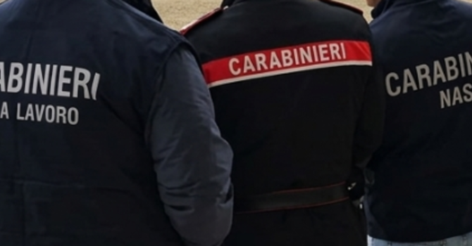Vigevano, i carabinieri scoprono una pensione per cani abusiva: scatta il sequestro e 3mila euro di multa