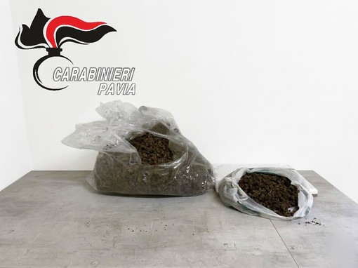 Marcignago, trovati 4,5 chili di marijuana trovati all’interno di un borsone abbandonato Marcignago, trovati 4,5 chili di marijuana trovati all’interno di un borsone abbandonato