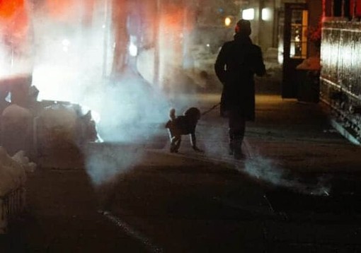 Magenta, cane folgorato da un palo elettrico durante la passeggiata: area isolata